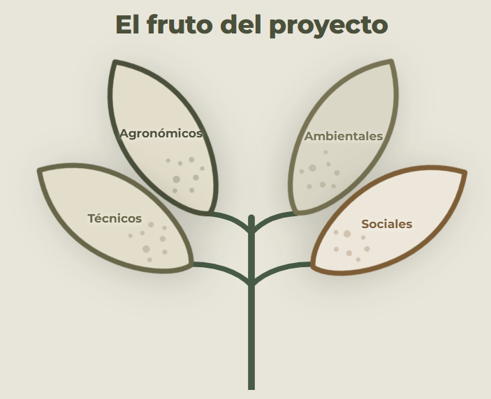 El fruto del proyecto: beneficios agronómicos, ambientales, técnicos y sociales